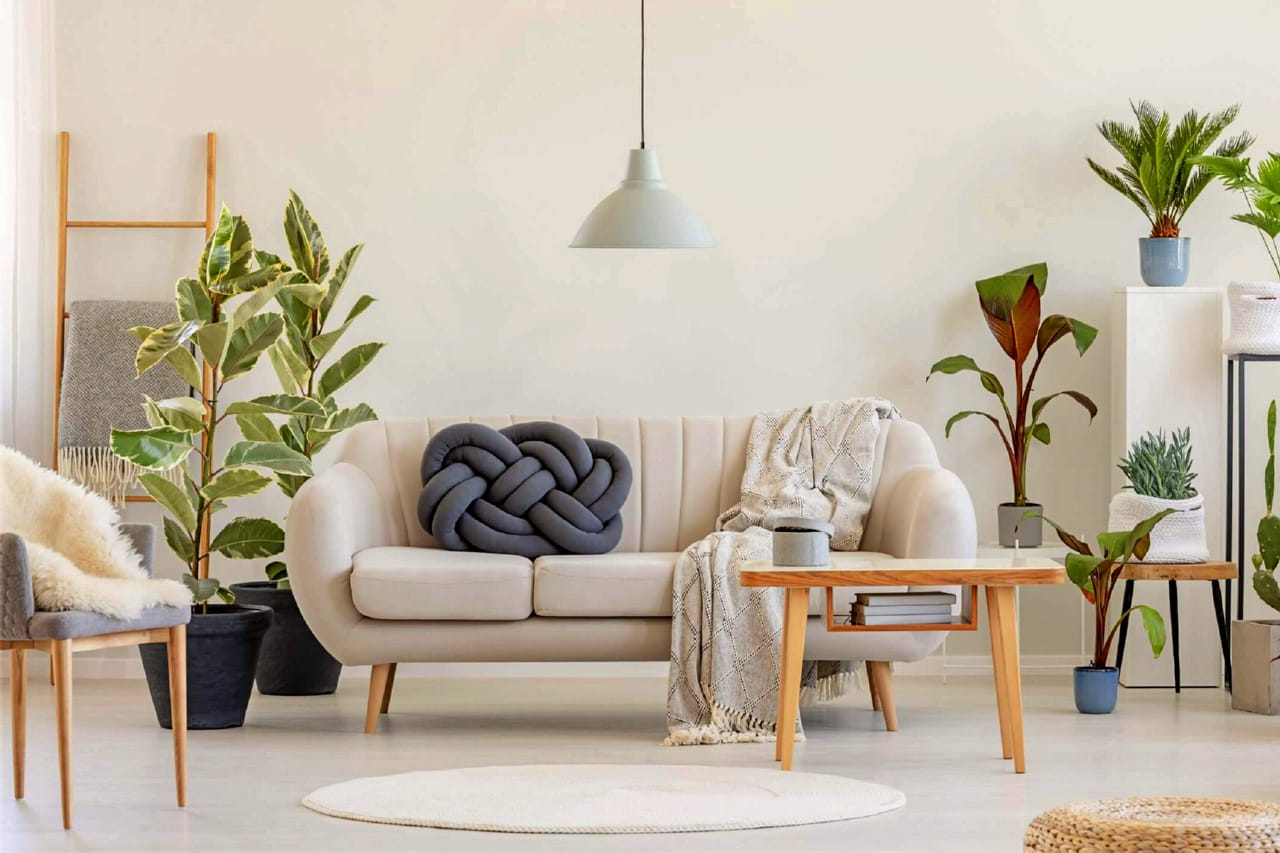 natural plant in interior design