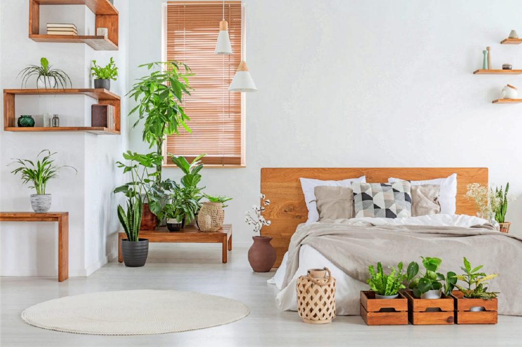 natural plant in interior design