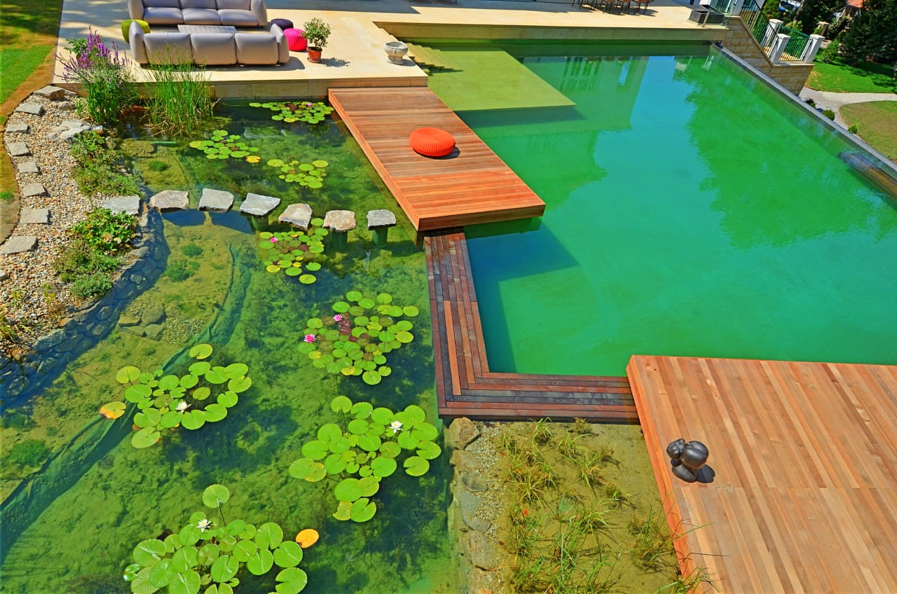 natural pool