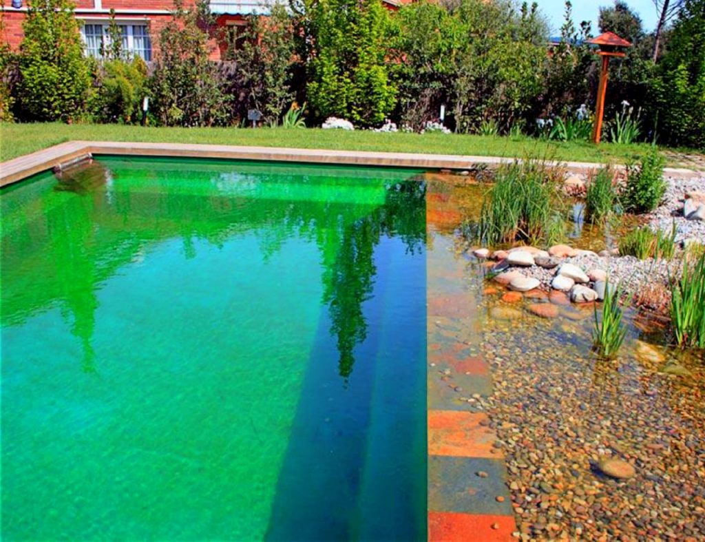 natural pool
